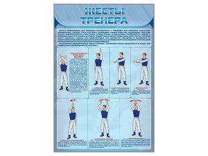 Стенд «Жесты тренера»